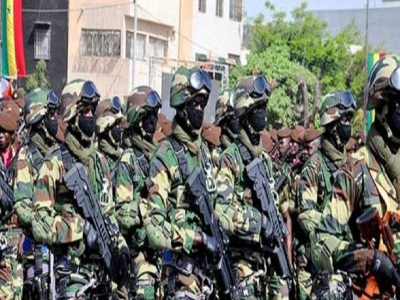 Ziguinchor: L'Armée brûle un grand champ de chanvre indien cultivé par une bande armée
