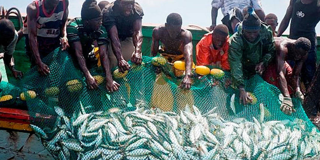Tiraillements et opacité dans le secteur de la pêche: Birahim Seck demande à Macky de concrétiser l’adhésion du Sénégal au FITI