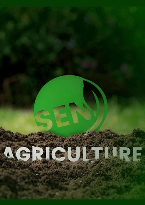 Technologie au service de l’Agriculture: le premier E-learning agricole en Afrique verra bientôt le jour au Sénégal