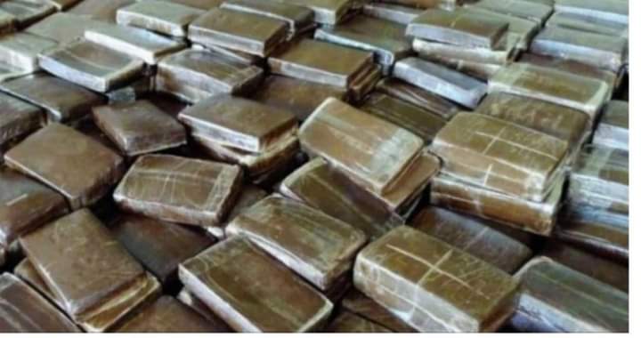 La Douane saisit 1376 kg de chanvre indien à Kidira