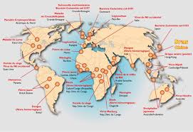 «Il faut réduire les risques pour éviter une ère des pandémies», avertissent des experts
