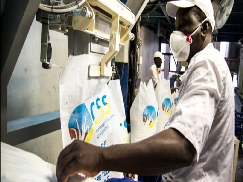 Compagnie sucrière sénégalaise : « nous sommes aux bords de la fermeture », alertent les travailleurs