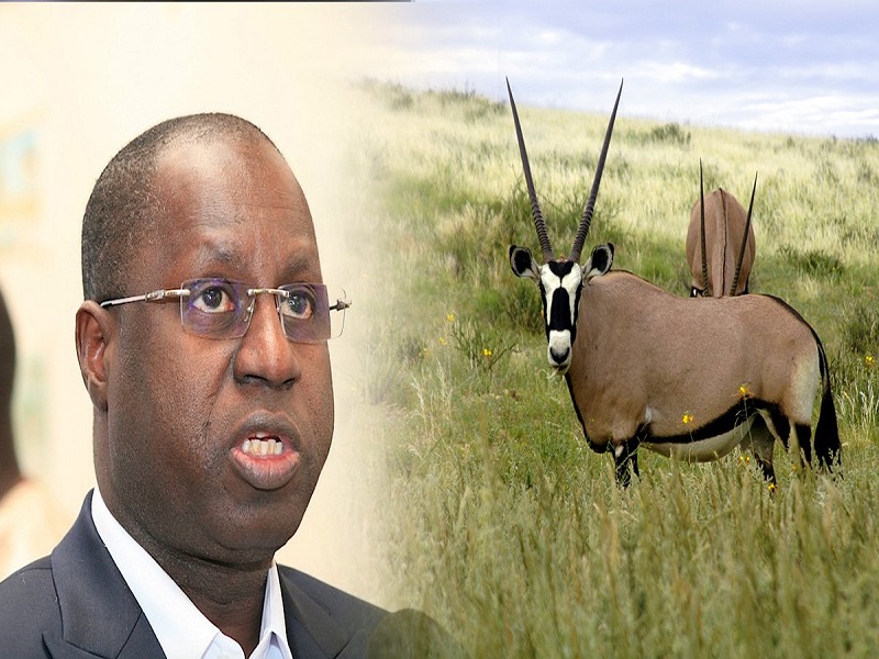 Affaire des Gazelles Oryx: Abdou Karim Sall met fin au débat devant les députés