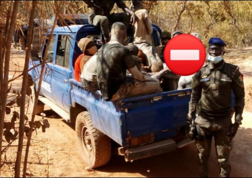 Seguekho: démantèlement d'un site d'orpaillage clandestin, 16 personnes arrêtés dont 5 Sénégalais  