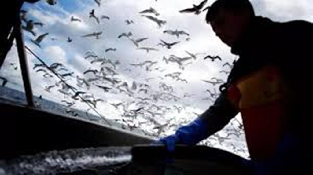 Négociations sur un accord post-Brexit: l’inquiétude des pêcheurs européens