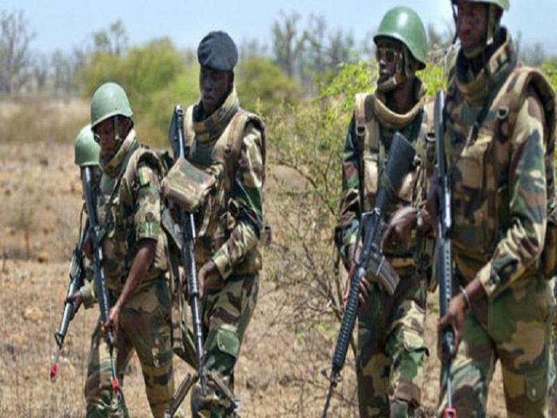 Casamance - Forêt de Bissine: Deux corps en état de décomposition retrouvés par l'armée
