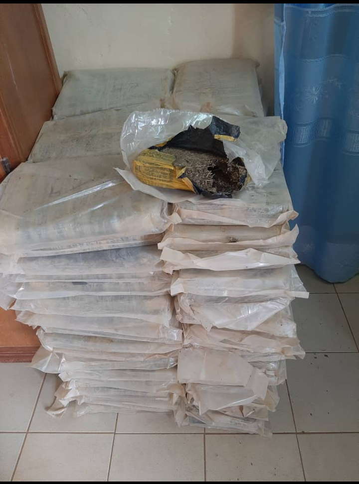 Ourossogui: 200kg de chanvre indien et trois (3) motos saisis 