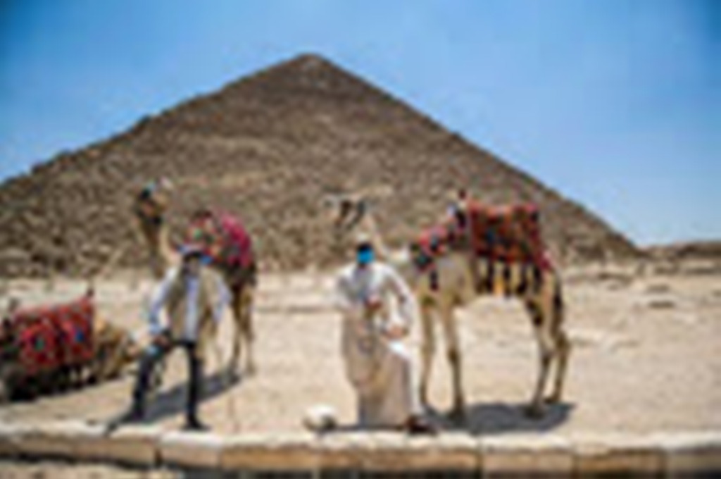 Ces bonnes nouvelles passées inaperçues en 2020