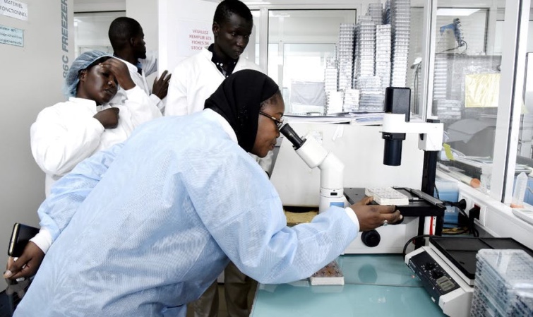 Covid_19 - Indice de sévérité: le Sénégal classé 67e dans le monde et 31e en Afrique