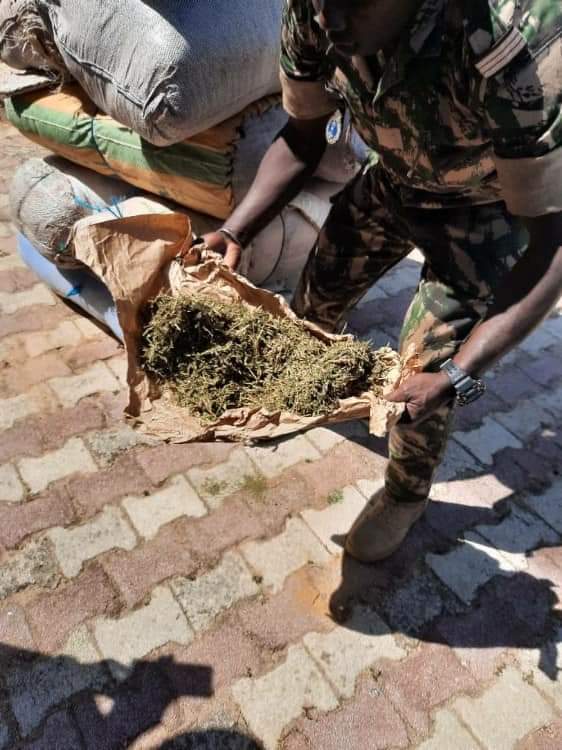 Fatick: 263 kg de chanvre indien saisis au quai de Sibassor 