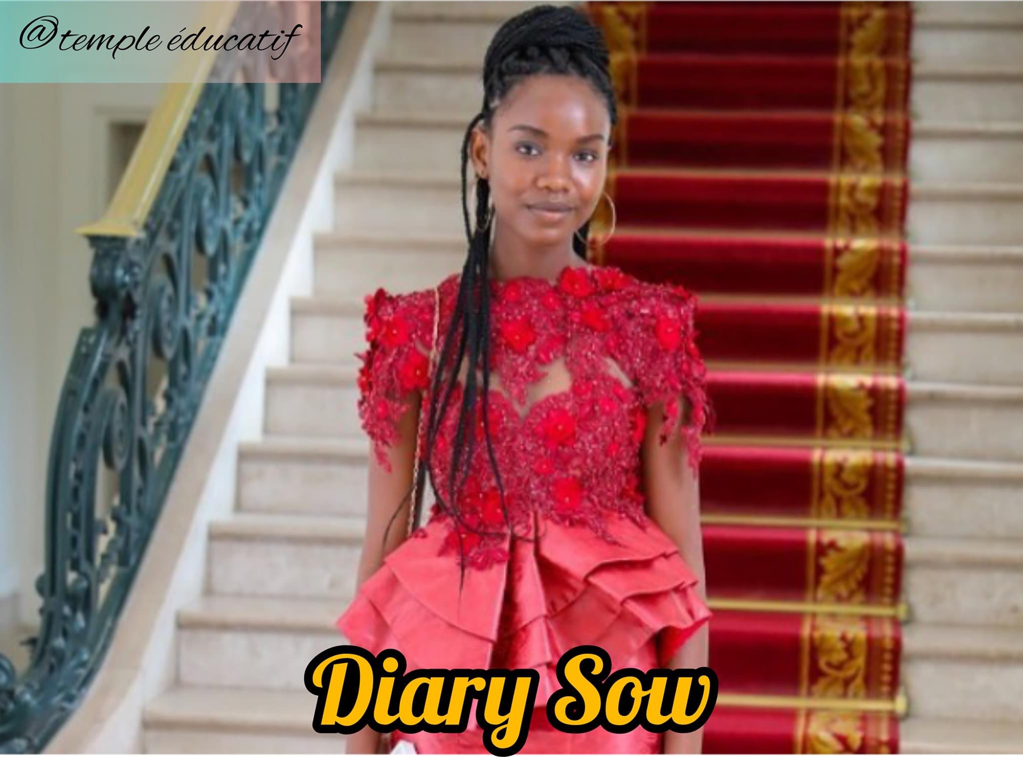 Disparition de Diary Sow: pourquoi la police française fait preuve de retenue