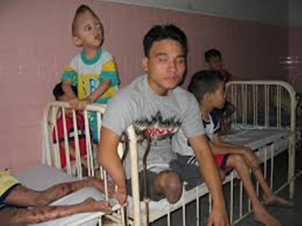 France : le procès historique de l’Agent Orange