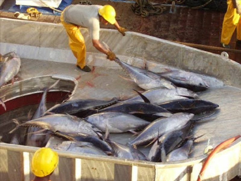 Versement de 170 euros par des bateaux européens : le GAIPS annonce une plainte contre Haïdar El Ali