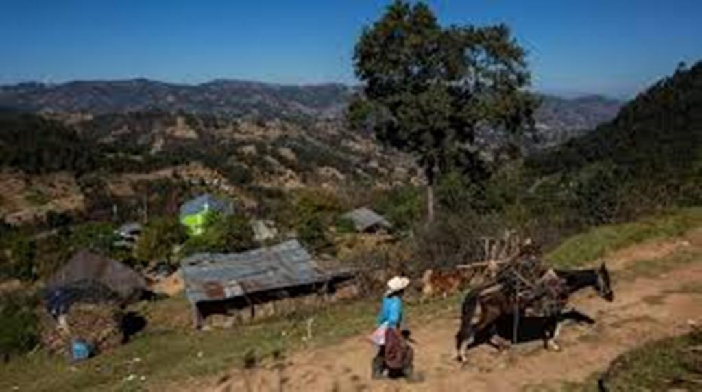 Massacre de migrants au Mexique: deux Guatémaltèques et deux Mexicains identifiés