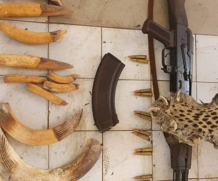 Tamba: Trois (3) trafiquants arrêtés, une arme de guerre saisie 