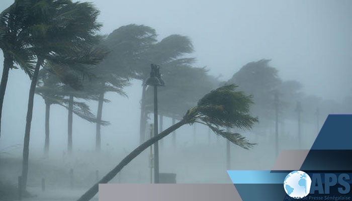 La météo annonce un «vent fort et une houle dangereuse» aux larges des côtes sénégalaises