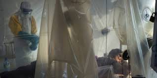 Plus de 520 cas de peste et 31 morts enregistrés en RDC (ministre)