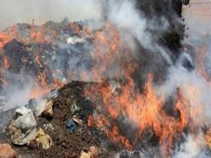 Kaffrine : Plus de 8 tonnes de produits prohibés incinérées par la douane