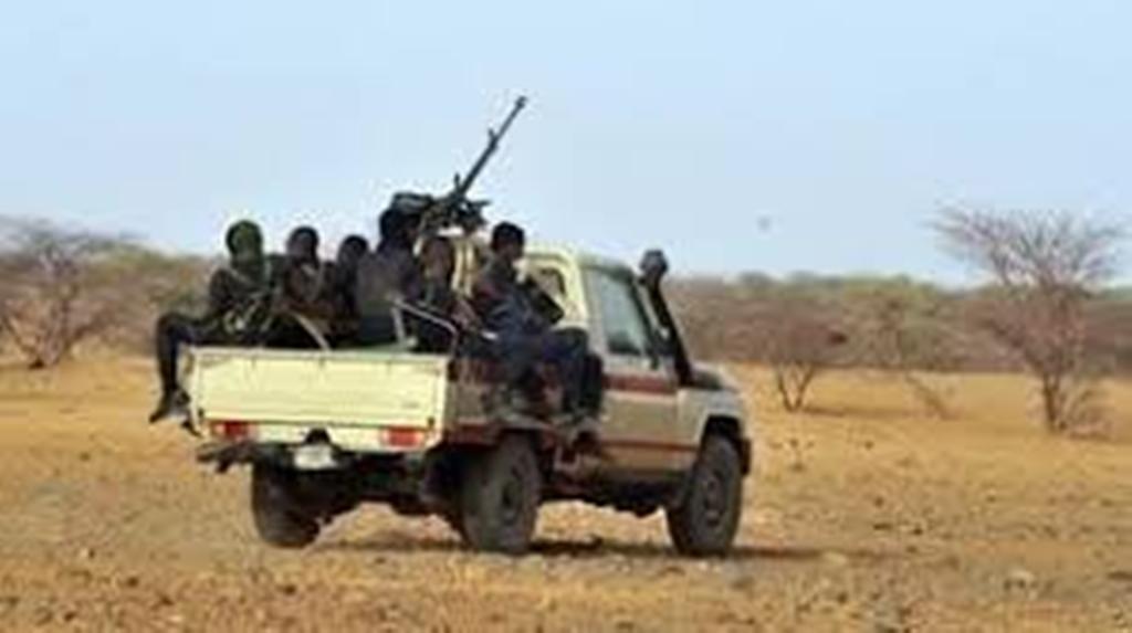 Niger: près de 60 morts dans une attaque à Tillia au nord-ouest du pays
