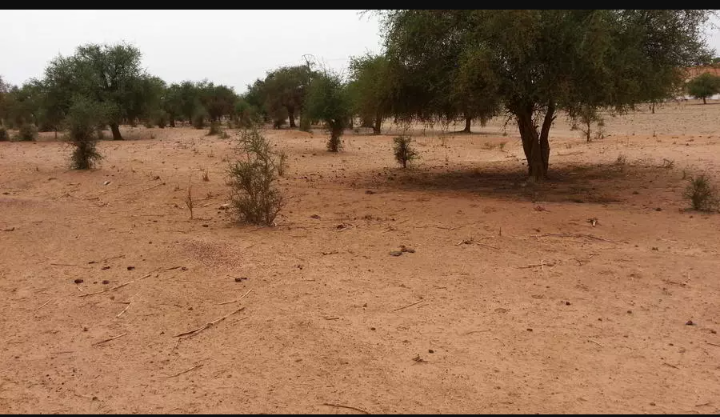Niger: conseil national de sécurité extraordinaire après l'attaque de Tillabéry