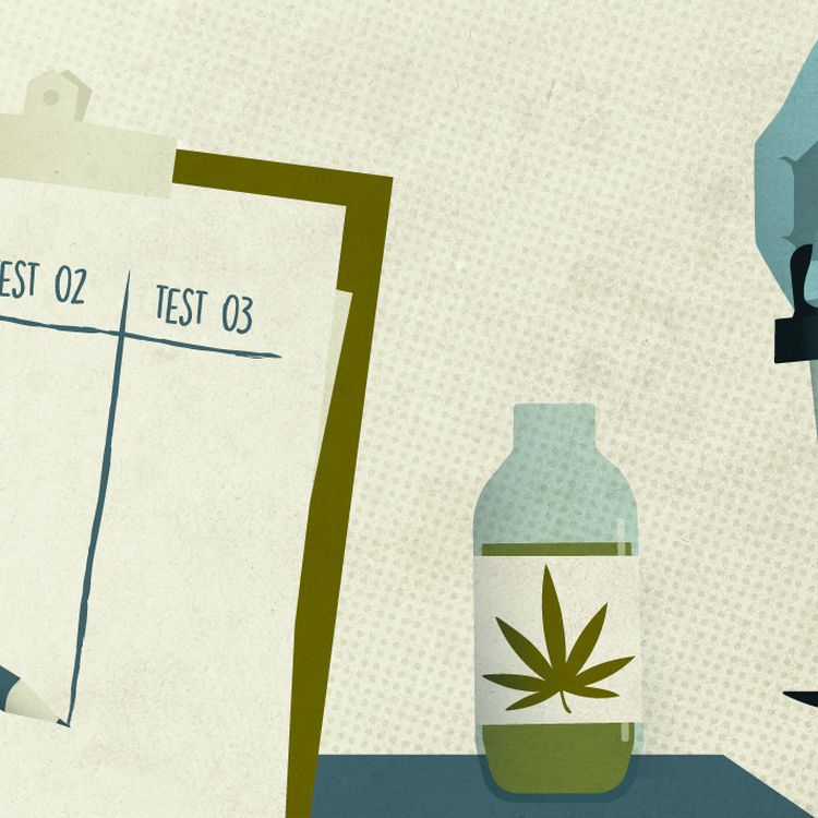 La France lance son expérimentation du cannabis médical