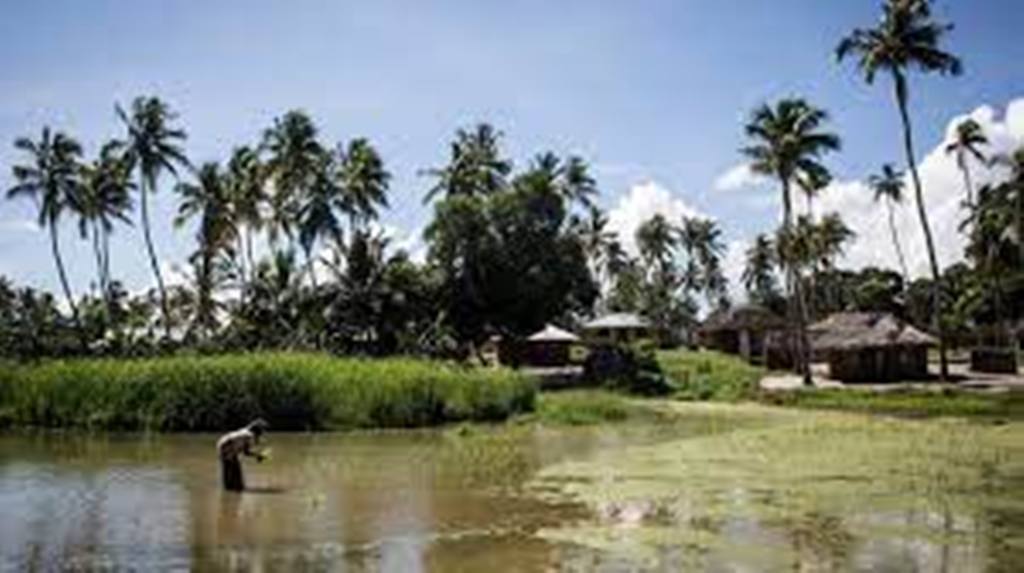 Mozambique: la ville de Palma en cours d'évacuation après l'attaque jihadiste meurtrière