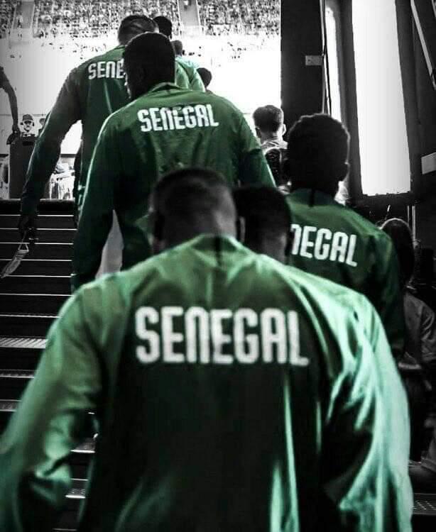 Le Sénégal perd deux places dans le classement mondial Fifa et trône toujours en Afrique