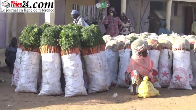 Délocalisation Marché Diogo: les commerçants très en colère dénoncent