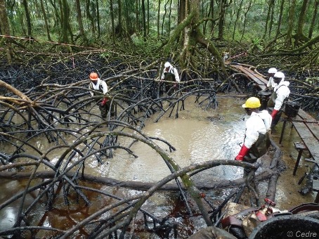 Pollutions par hydrocarbures en mer et sur le littoral: l’ISMI mise sur une formation à Abidjan pour freiner le fléau