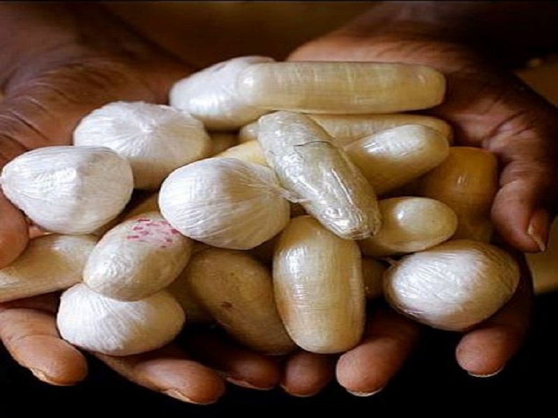 Trafic de drogue: 4 Nigérians et un Sénégalais arrêtés