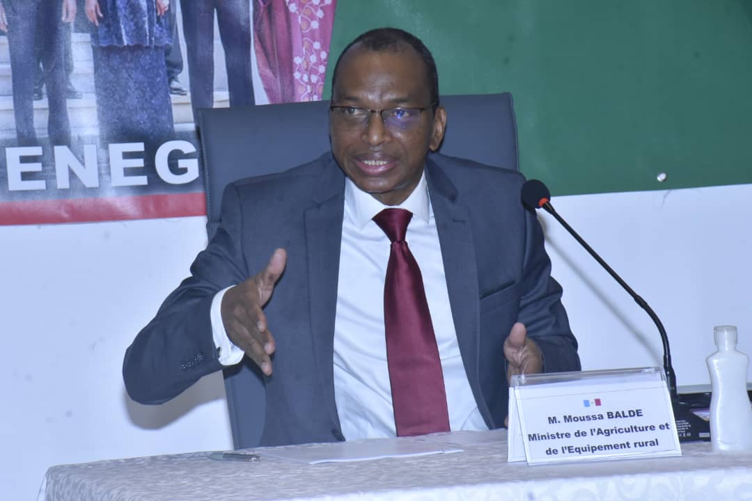 Grève des techniciens du ministère de l'Agriculture: Moussa Baldé conteste la légitimité de leur syndicat