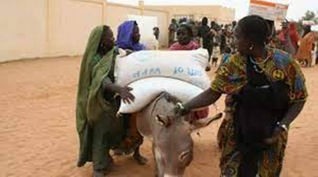 Mali: polémique autour de la réforme territoriale dans le nord du pays