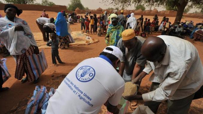 Plus de 300.000 Sénégalais en insécurité alimentaire, selon rapport du  PAM