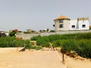 La population de Daga-Kholpa chasse les équipes de Mintech