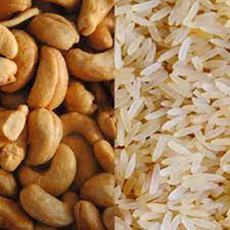Troc riz contre cajou en Guinée-Bissau, une nécessité alimentaire