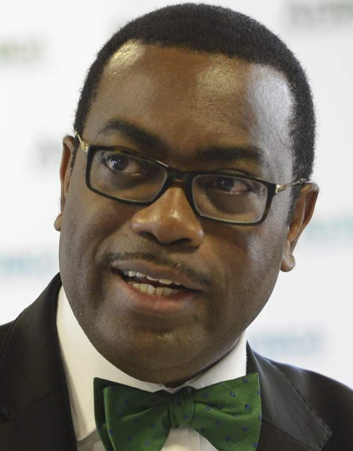 « Les jeunes sont le meilleur atout de l’Afrique, investissons en eux » (président BAD)