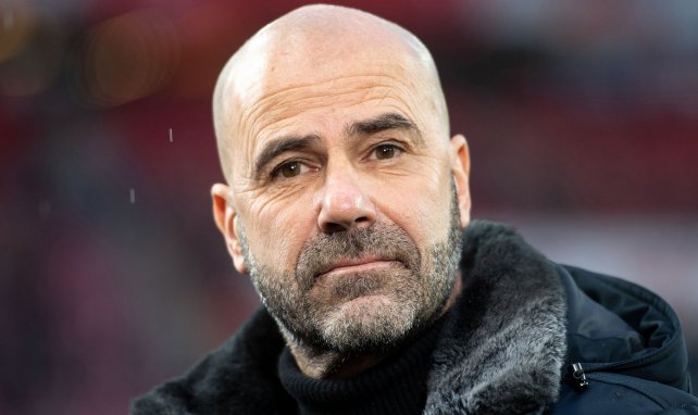 Peter Bosz nommé entraîneur de l'Olympique Lyonnais