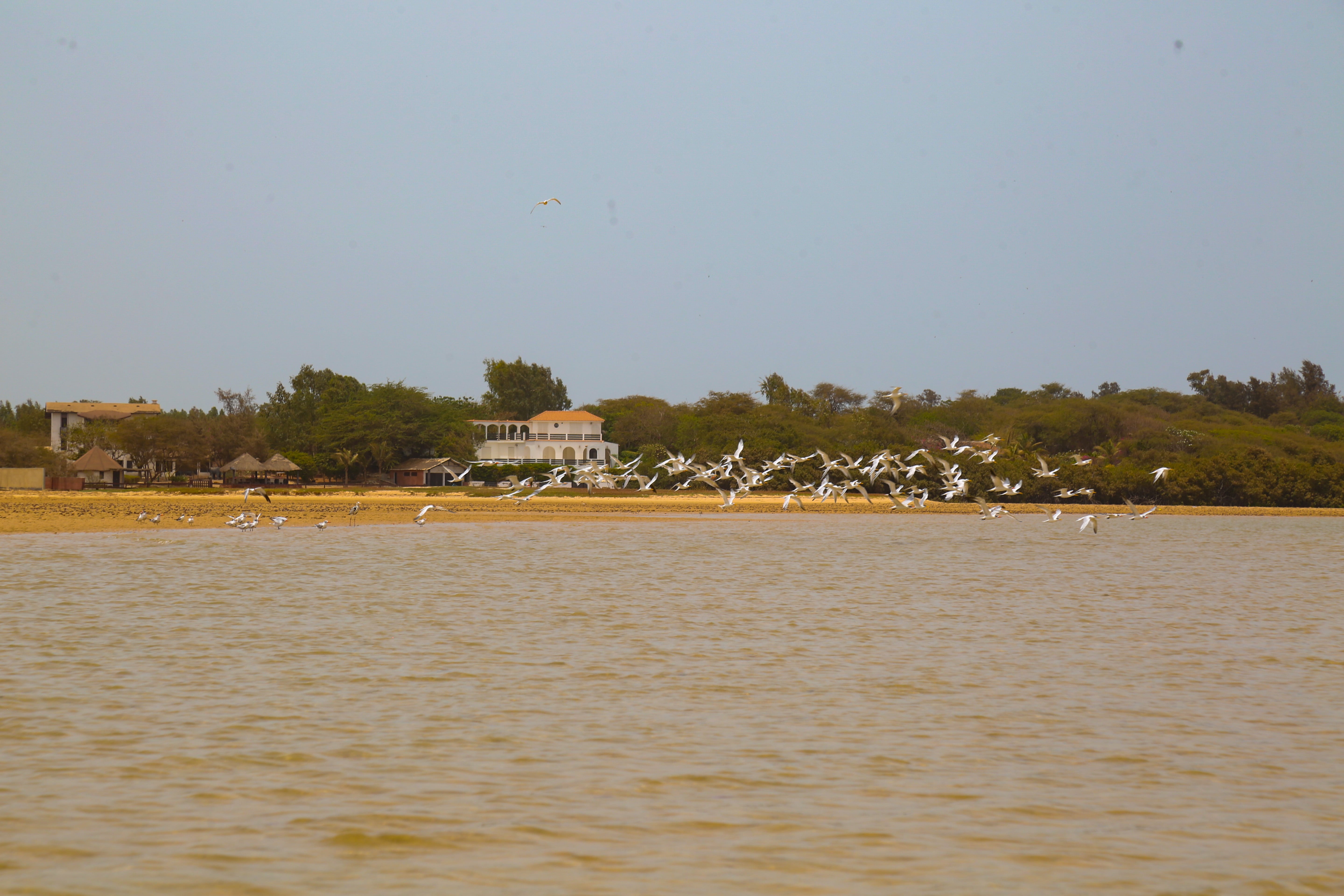 Aire Marine Protégée de Somone : LAS participe à la protection de la biodiversité et à la promotion de l’écotourisme