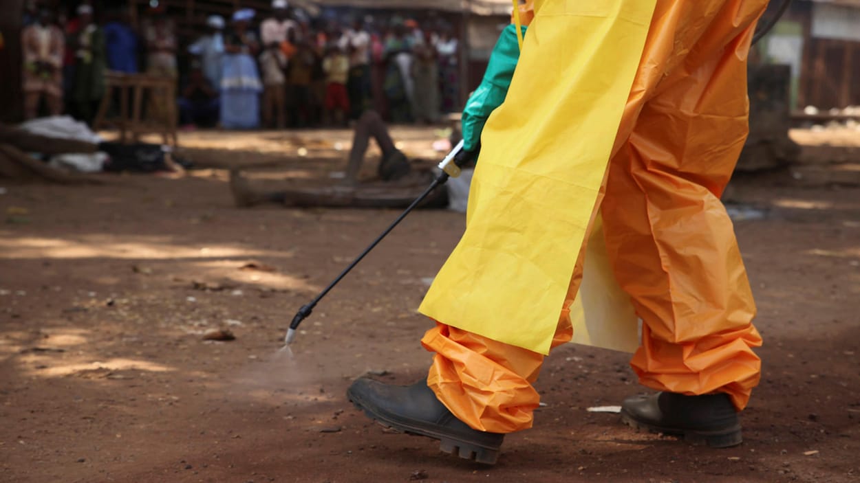 L'OMS déclare la fin de la deuxième épidémie d'Ebola en Guinée