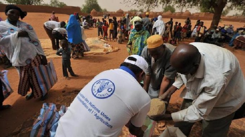 Insécurité alimentaire: le Pam au secours du gouvernement dans le Fouta