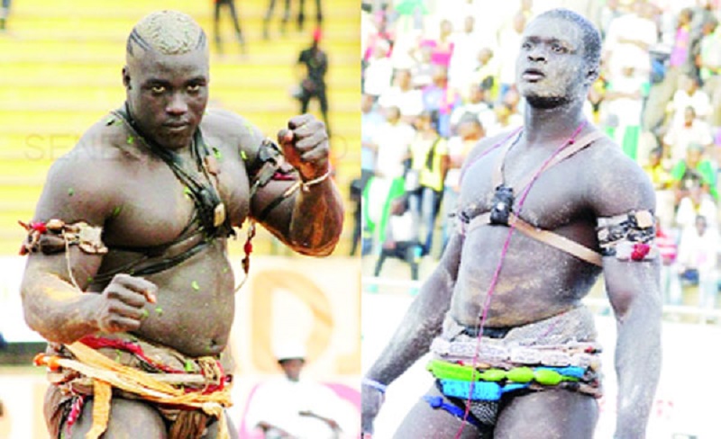 Lutte : Sa Thiès-Moussa Ndoye, combat pour la relance