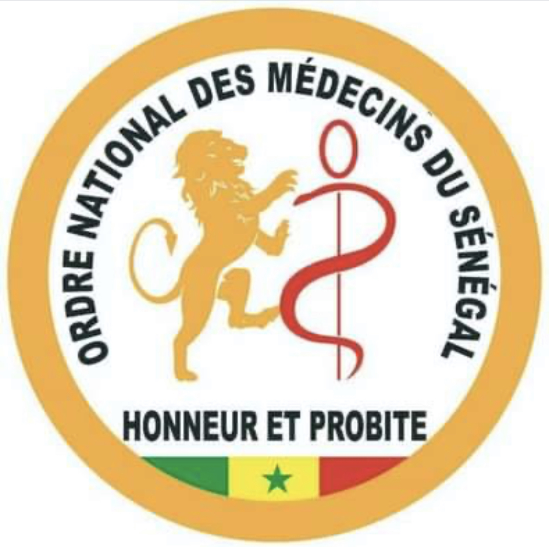 Ngaye Mékhé: l’Ordre des médecins du Sénégal demande aux autorités d’arrêter un tradi-praticien qui met en danger les malades de diabète et hypertension artérielle