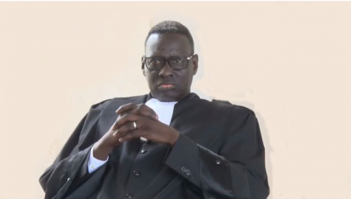 Me Abdou Dialy Kane, juge le réquisitoire contre les danseurs de Waly Seck trop sévère