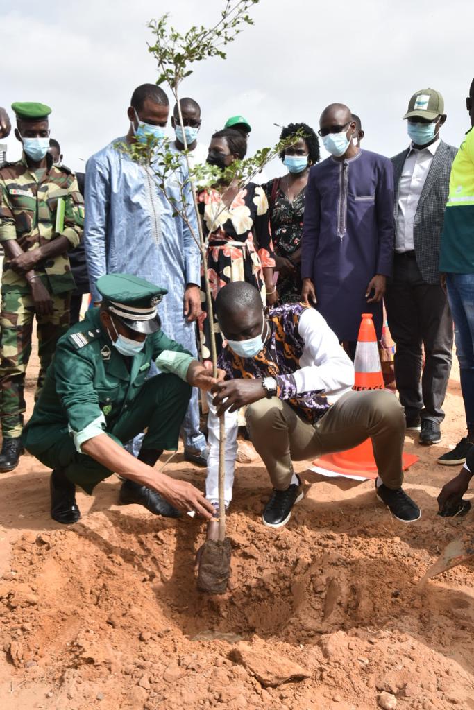 Le projet de Reboisement « Autoroute Verte » a été lancé 