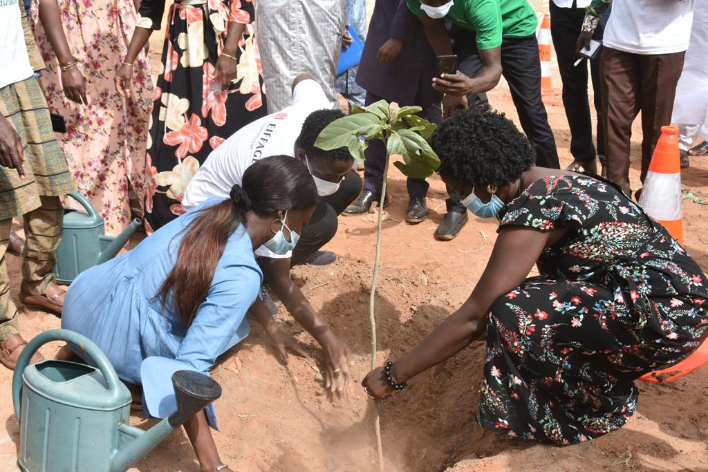 Le projet de Reboisement « Autoroute Verte » a été lancé 