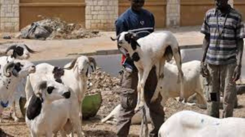 Burkina Faso: sensibilisation au Covid-19 en pleine fête de la Tabaski