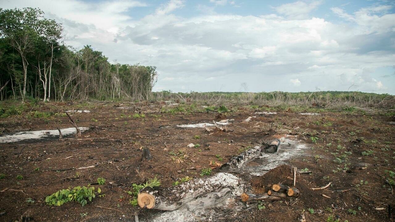 Les «signaux vitaux de la Terre» s'affaiblissent, alertent des scientifiques