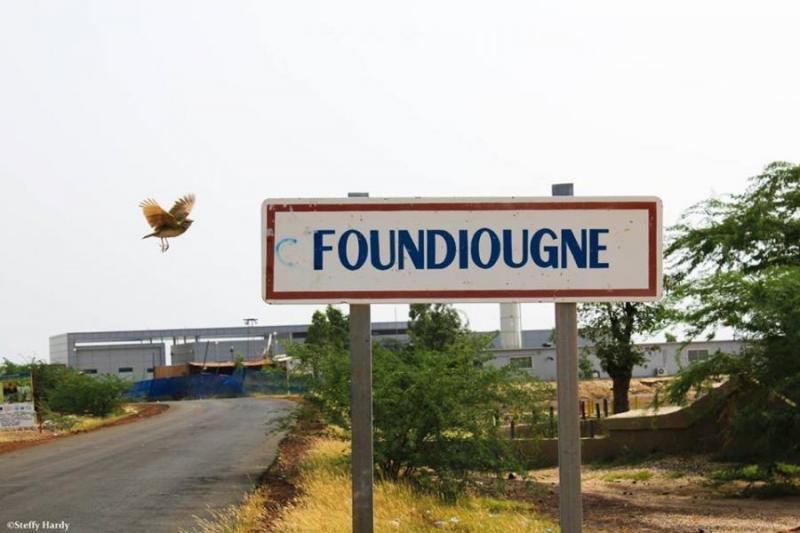 Département de Foundiougne: la campagne agricole menacée par une longue pause pluviométrique