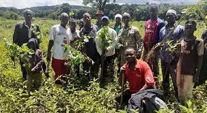 ​Ziguinchor : plus de 260 000 plants d'arbres produits en 2020 (Inspecteur) 