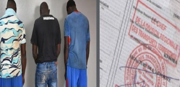 Trafic de fausses cartes grises : la bande à « Laye Gotté » neutralisée